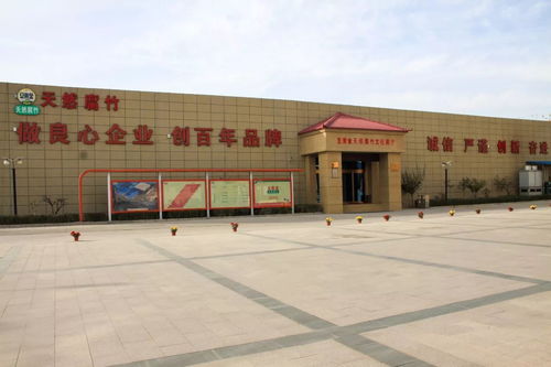 豆黃金食品 以六個國內第一引領健康旅游業務創新